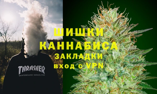 стафф Богданович