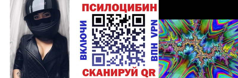 Галлюциногенные грибы Psilocybine cubensis  Серафимович 